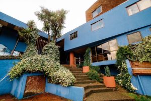 TIERRA DEL SUR